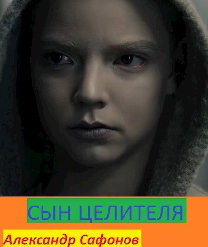 Обложка книги «Сын целителя»