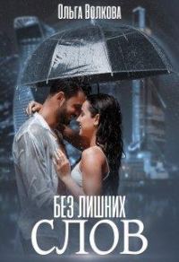 Обложка книги «Без лишних слов»