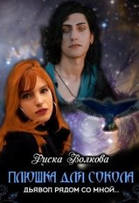 Обложка книги «Плюшка для Сокола»