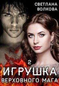 Обложка книги «Игрушка Верховного Мага 2»
