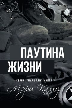 Обложка книги «Паутина жизни»