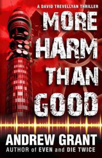 Обложка книги «More Harm Than Good»