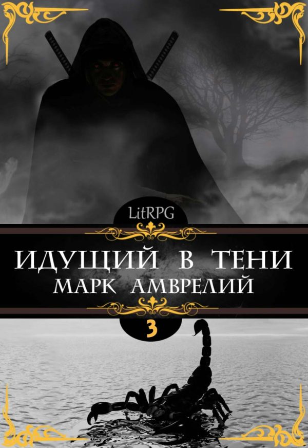 Обложка книги «Идущий в тени 3»