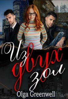 Обложка книги «Из Двух Зол»