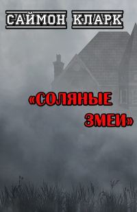 Обложка книги «Соляные змеи»