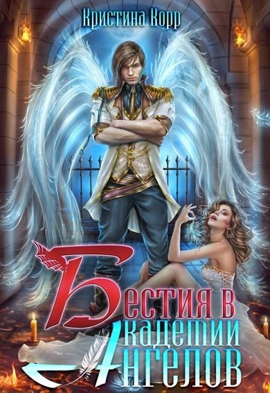 Обложка книги «Бестия в академии Ангелов»