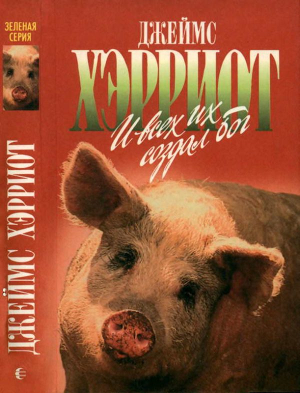 Обложка книги «И всех их создал Бог»