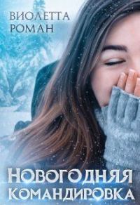Обложка книги «Новогодняя командировка»