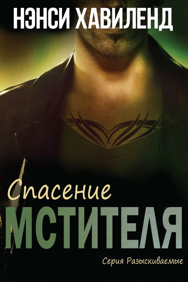 Обложка книги «Спасение мстителя»