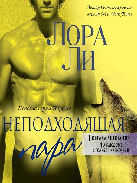Обложка книги «Неподходящая пара»