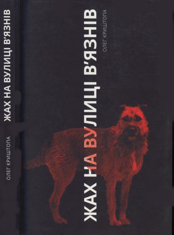 Обложка книги «Жах на вулиці В’язнів»