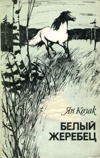 Обложка книги «Белый жеребец»