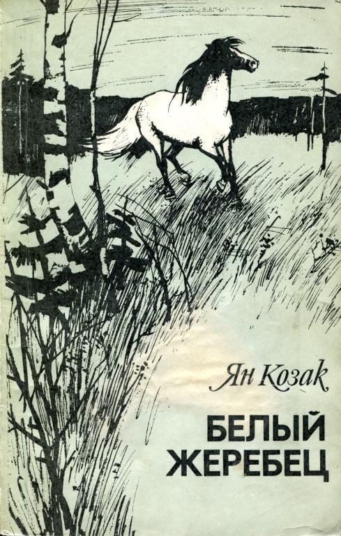 Обложка книги «Белый жеребец»
