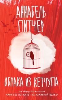 Обложка книги «Облака из кетчупа»