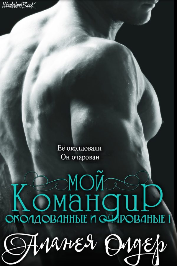 Обложка книги «Мой командир»