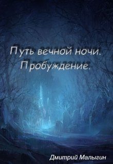 Обложка книги «Путь вечной ночи: пробуждение.»
