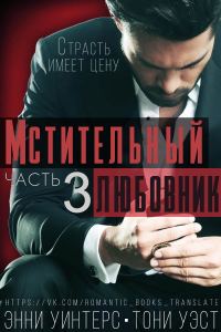 Обложка книги «Мстительный любовник. Часть 3»