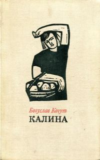 Обложка книги «Калина»