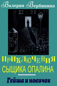 Обложка книги «Гейша и новичок»