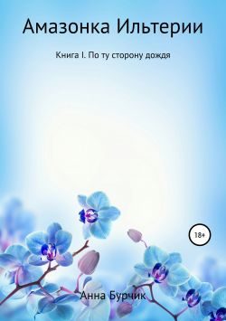 Обложка книги «По ту сторону дождя»