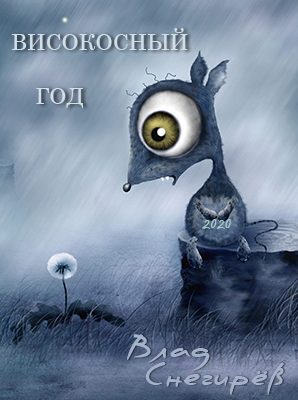 Обложка книги «Високосный год»