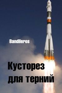 Обложка книги «Кусторез для терний»