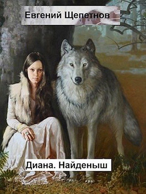 Обложка книги «Найденыш»