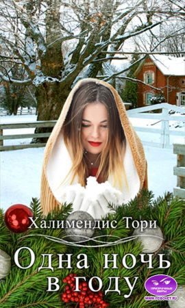 Обложка книги «Одна ночь в году»
