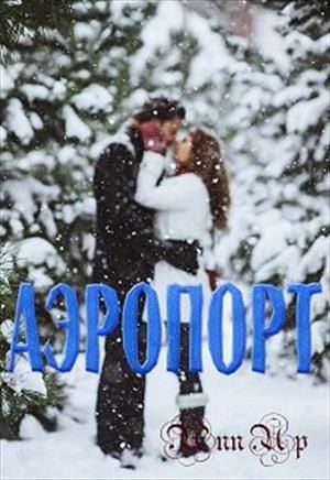 Обложка книги «Аэропорт»