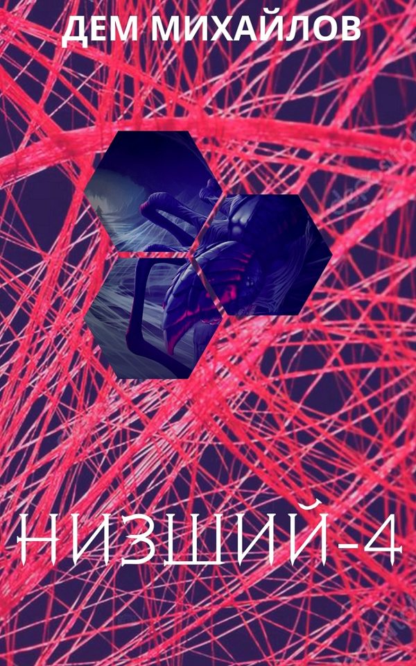 Обложка книги «Низший 4»