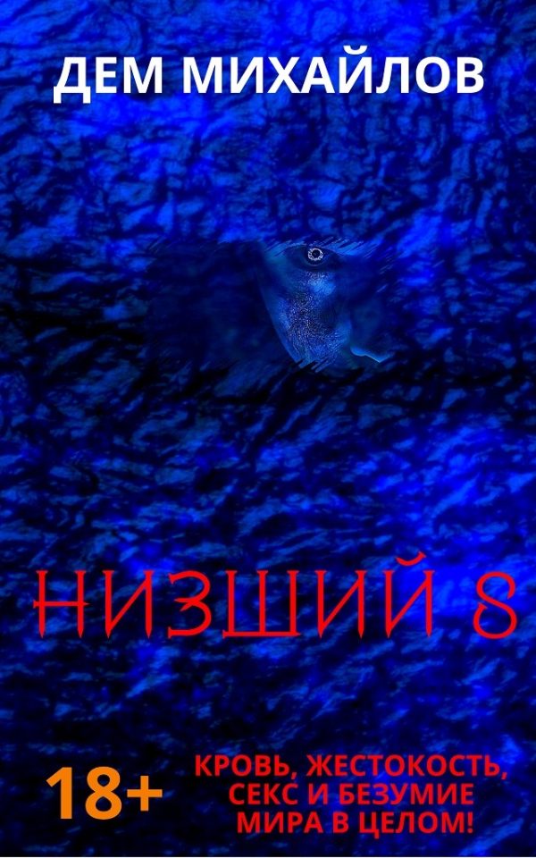 Обложка книги «Низший 8»