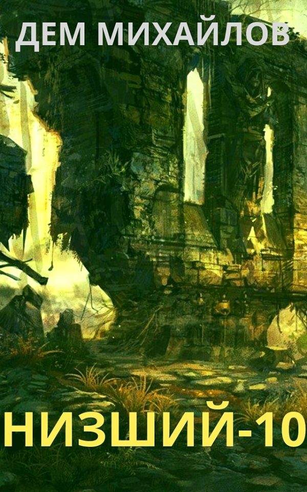 Обложка книги «Низший 10»