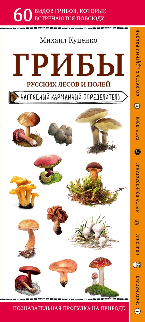 Обложка книги «Грибы русских лесов и полей»