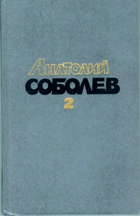 Обложка книги ««Пятьсот-веселый»»