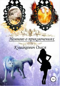 Обложка книги «Немного о приключениях»
