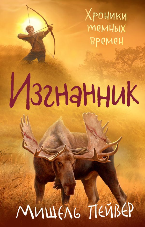 Обложка книги «Изгнанник»