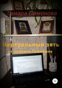 Обложка книги «Виртуальный зять из деревни Гадюкино»