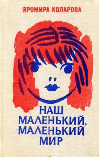 Обложка книги «Наш маленький, маленький мир»