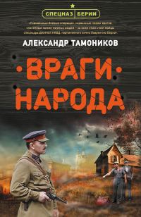 Обложка книги «Враги народа»