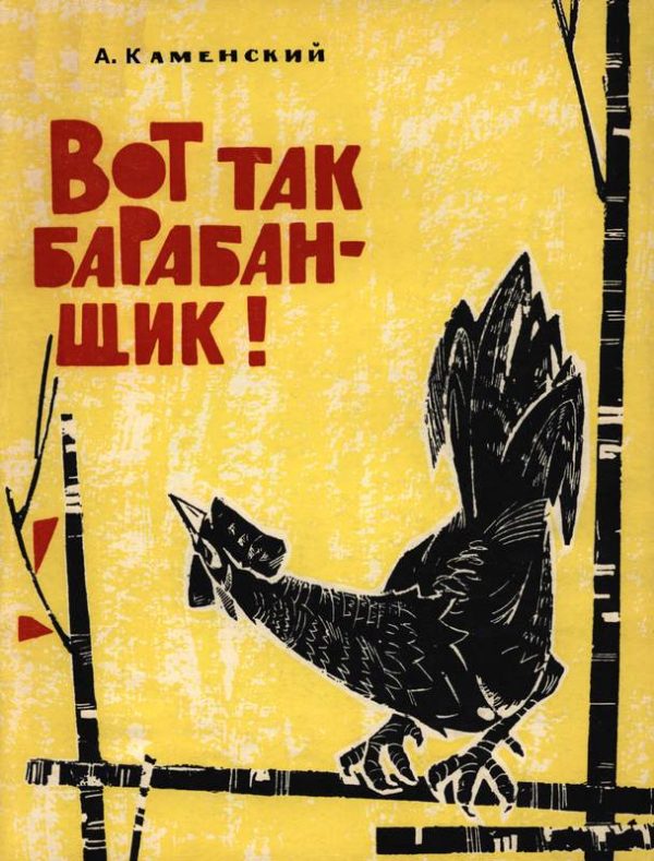 Обложка книги «Вот так барабанщик!»