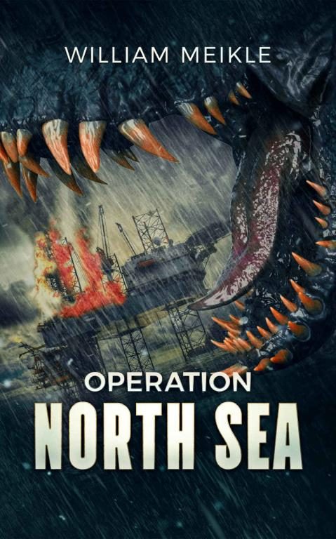 Обложка книги «Operation: North Sea»
