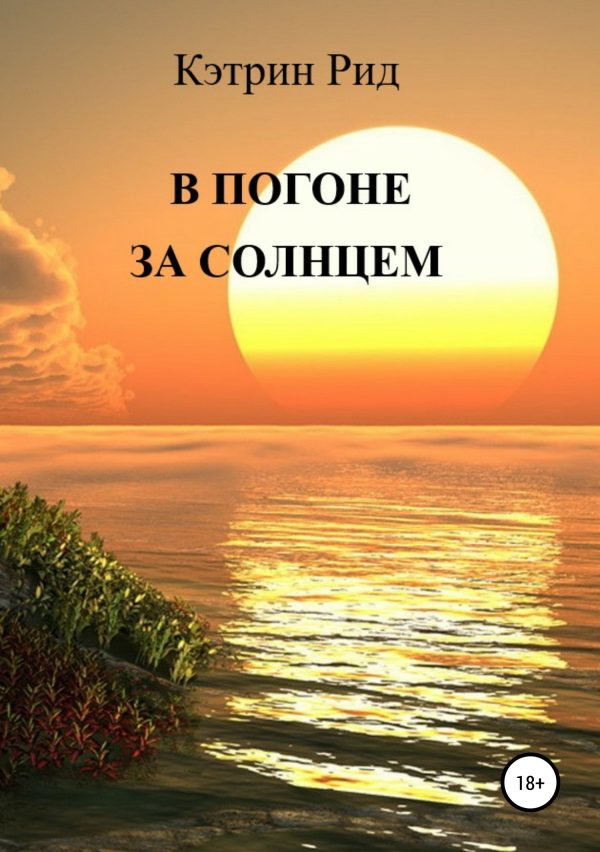 Обложка книги «В погоне за солнцем»