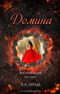 Обложка книги «Домина»
