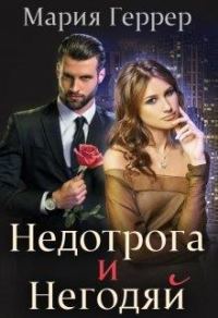 Обложка книги «Недотрога и негодяй»