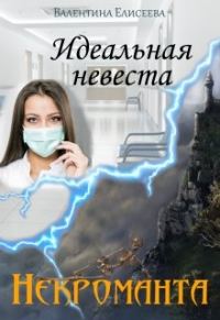 Обложка книги «Идеальная невеста некроманта»
