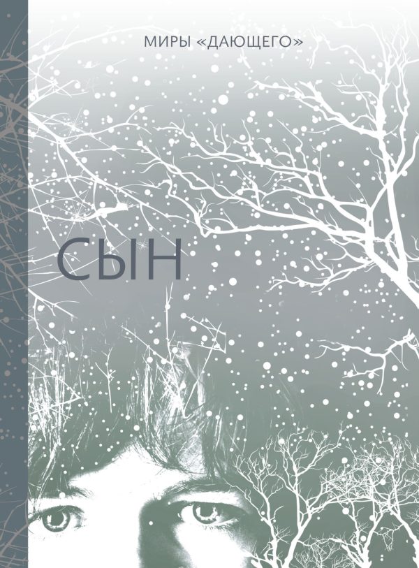Обложка книги «Сын»