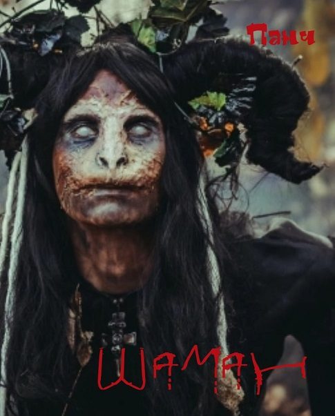 Обложка книги «Шаман»