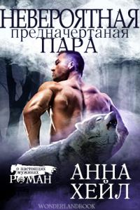 Обложка книги «Невероятная, предначертанная пара»