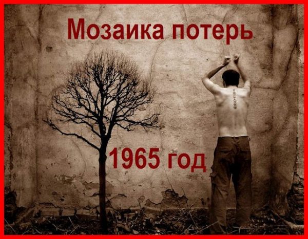 Обложка книги «Попаданец в себя, 1965 год»