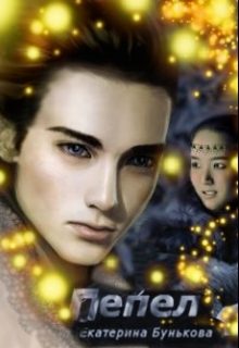 Обложка книги «Пепел»